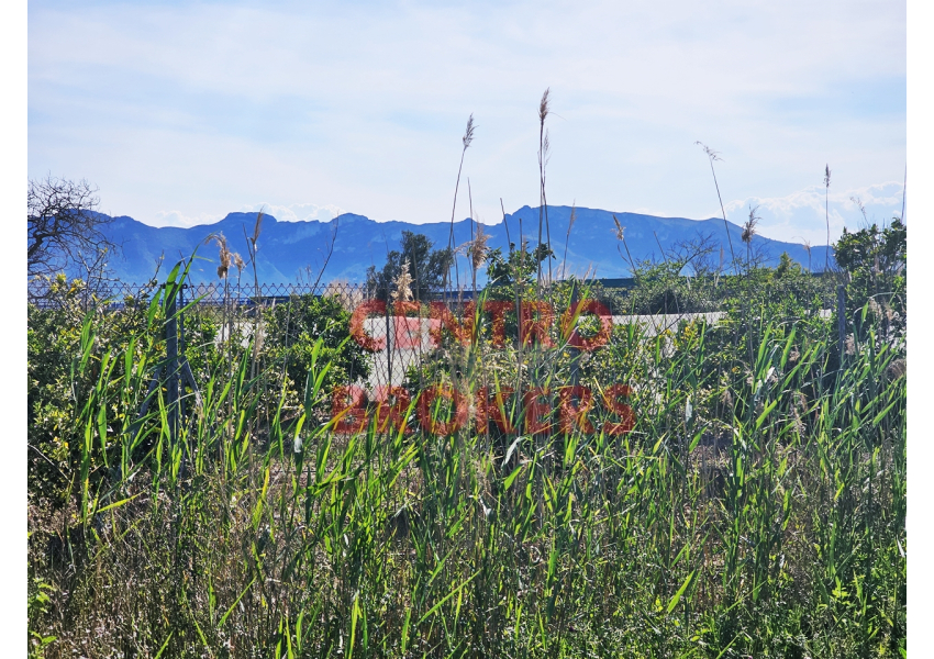 Ziemia rolna - grunt rolny w Cullera, Walencja